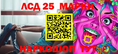 гидра Будённовск