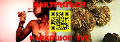 гидра Будённовск