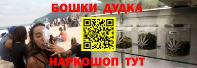 гидра Будённовск