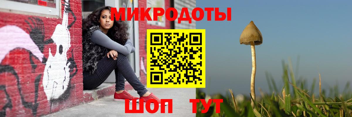 Галлюциногенные грибы прущие грибы Рыбинск