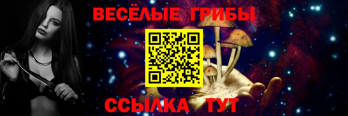Псилоцибиновые грибы мицелий  Вход с VPN  Рыбинск  Псилоцибиновые грибы Psilocybine cubensis 