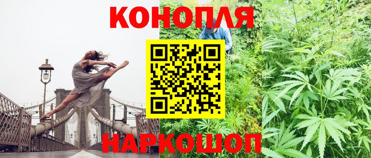 Конопля план Рыбинск